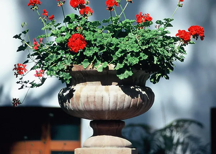 ズィ テレサ 4* ソレント